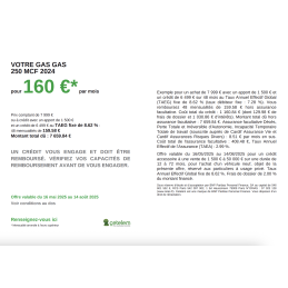 GASGAS 250 MCF 2024